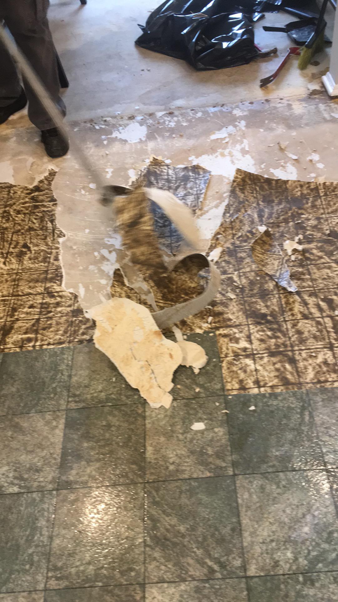 Mold Under Floors in Lincoln Park, NJ