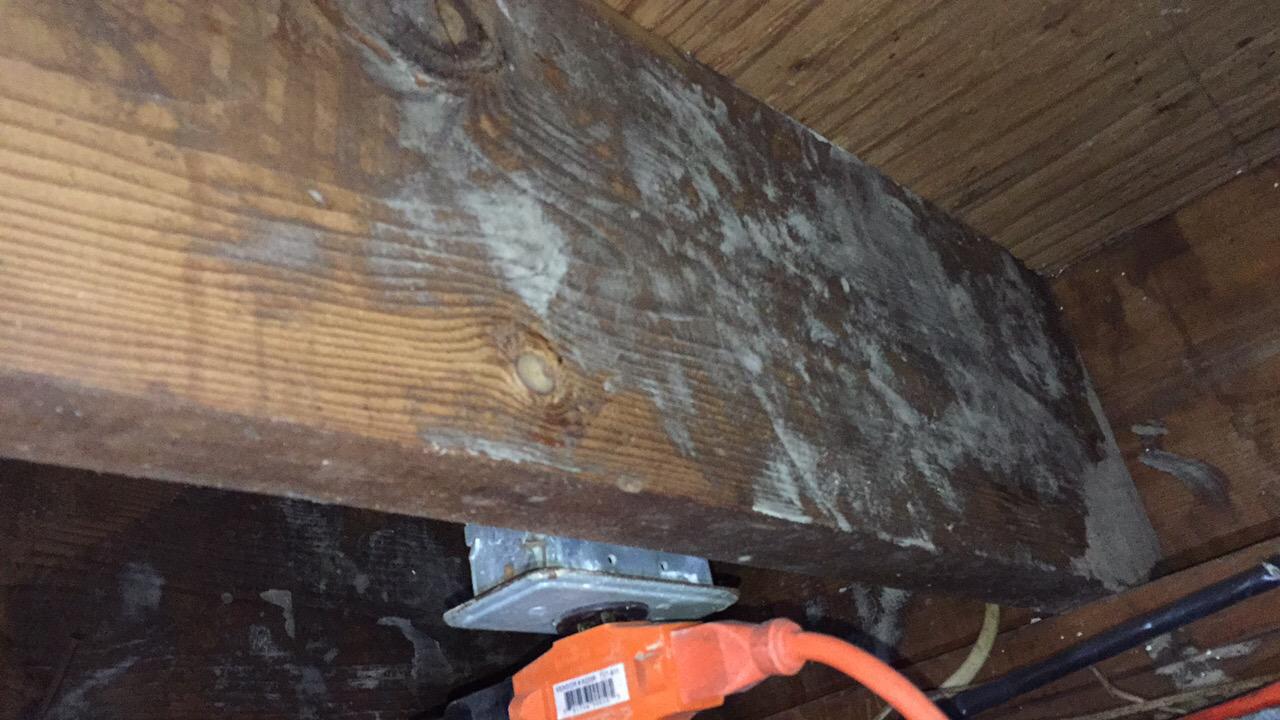 Mold Damage in Lake Hopatcong, NJ