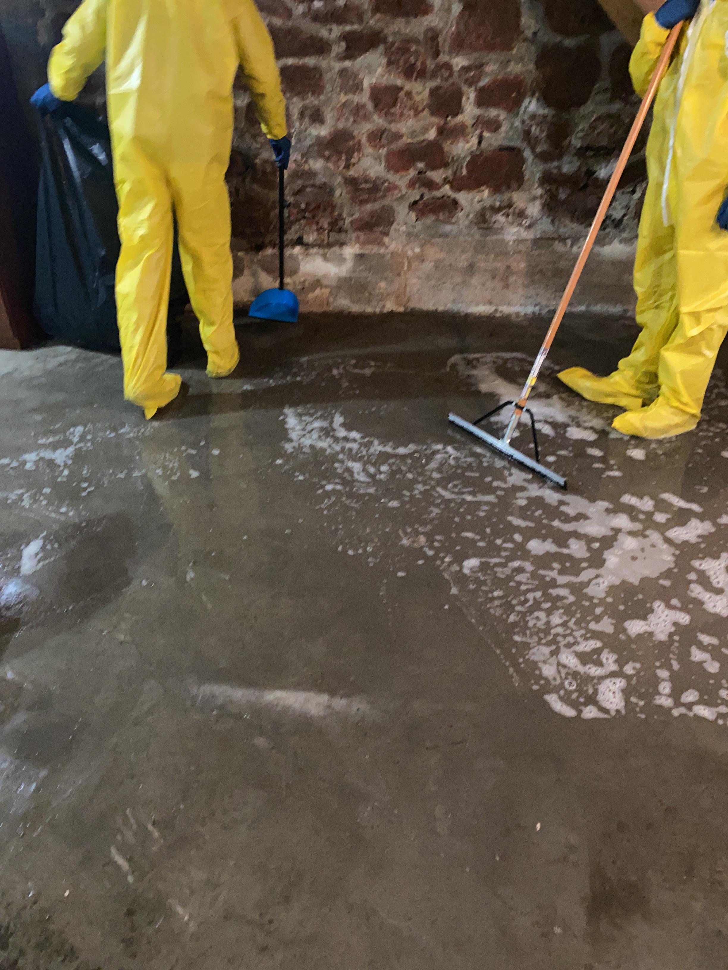 Sewage clean-up from water loss on basement floor