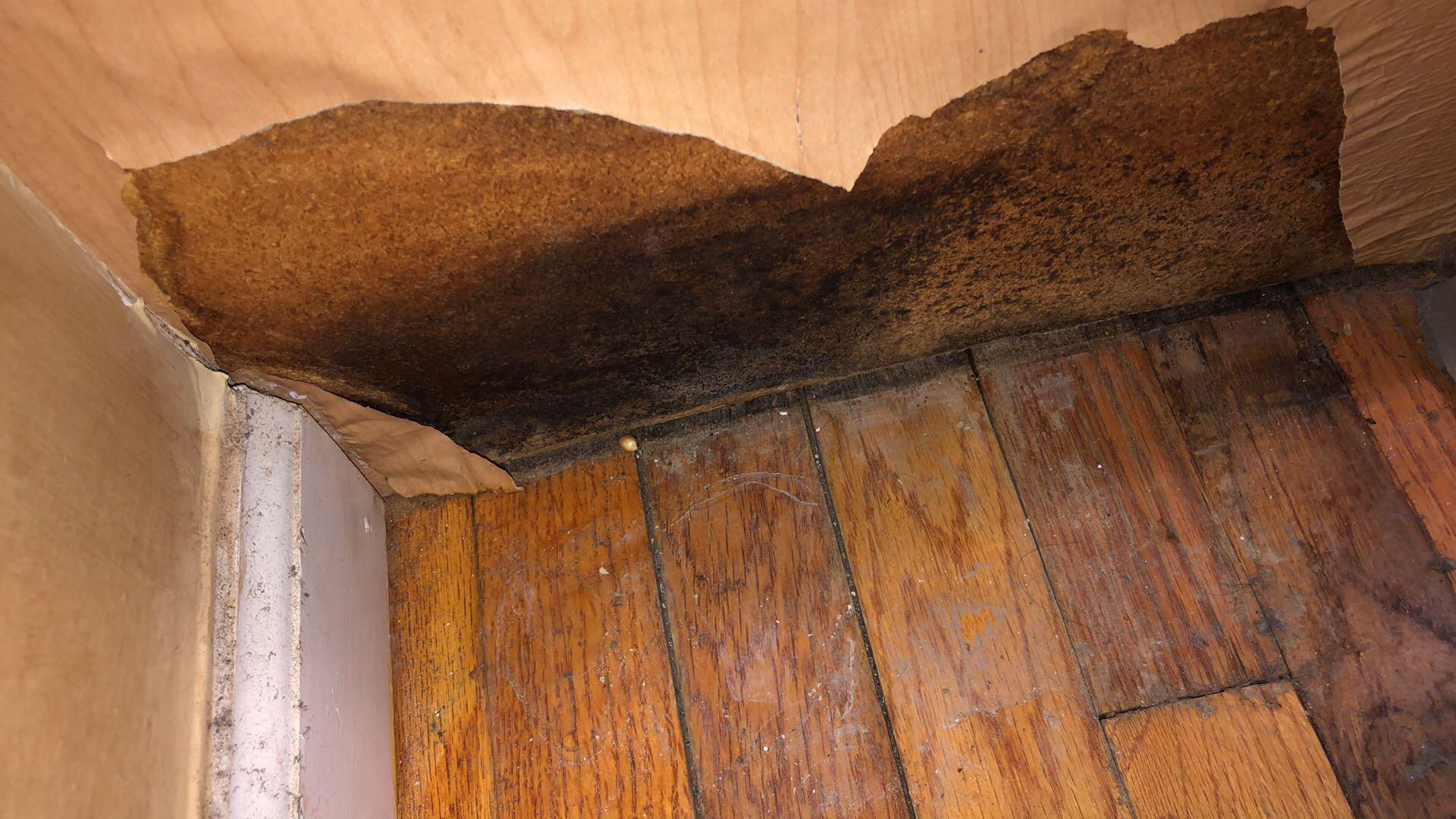 Lisa R. - Morristown, NJ - Water Damage