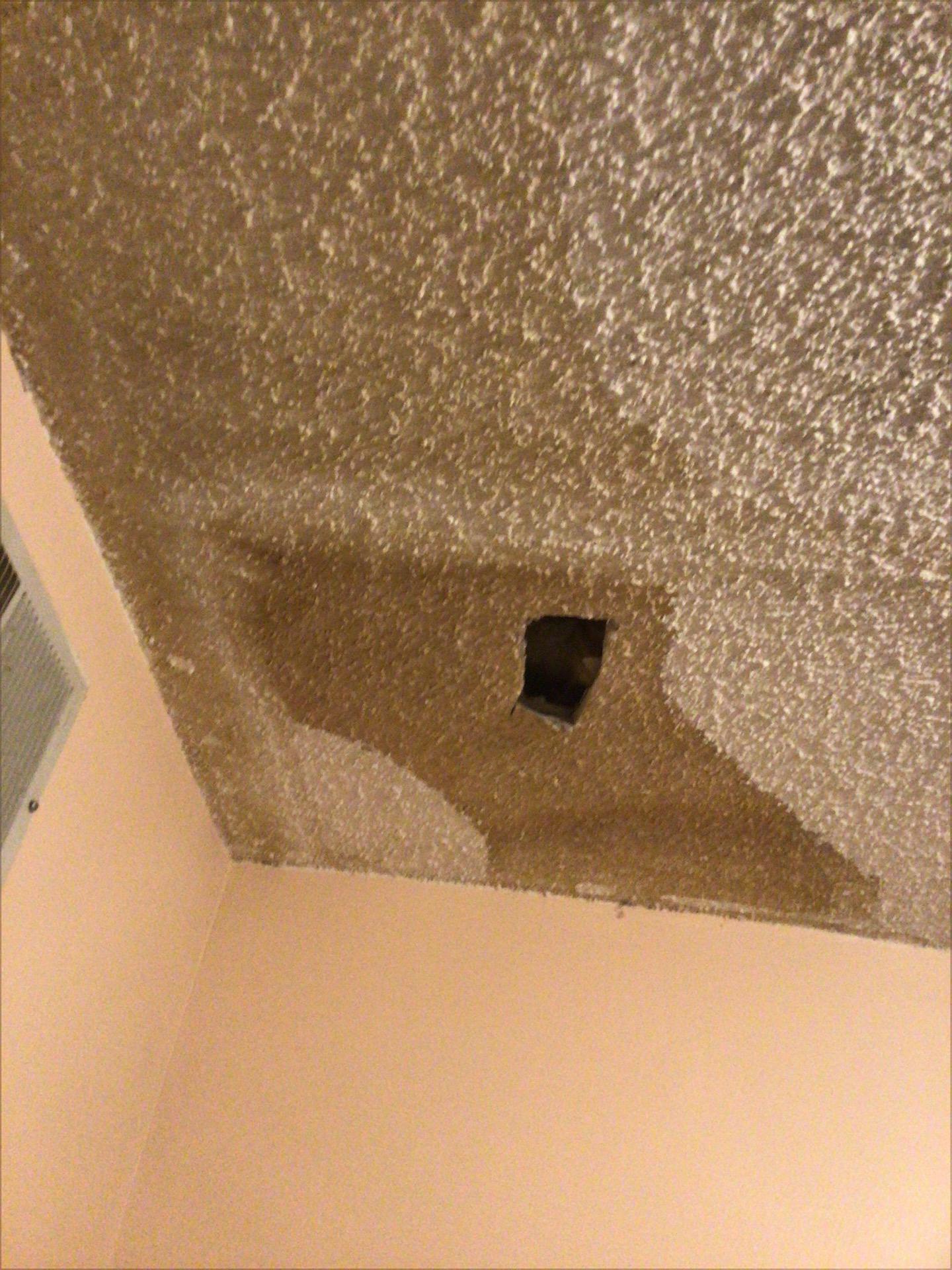 Rachel D. - West Milford, NJ - Water Damage