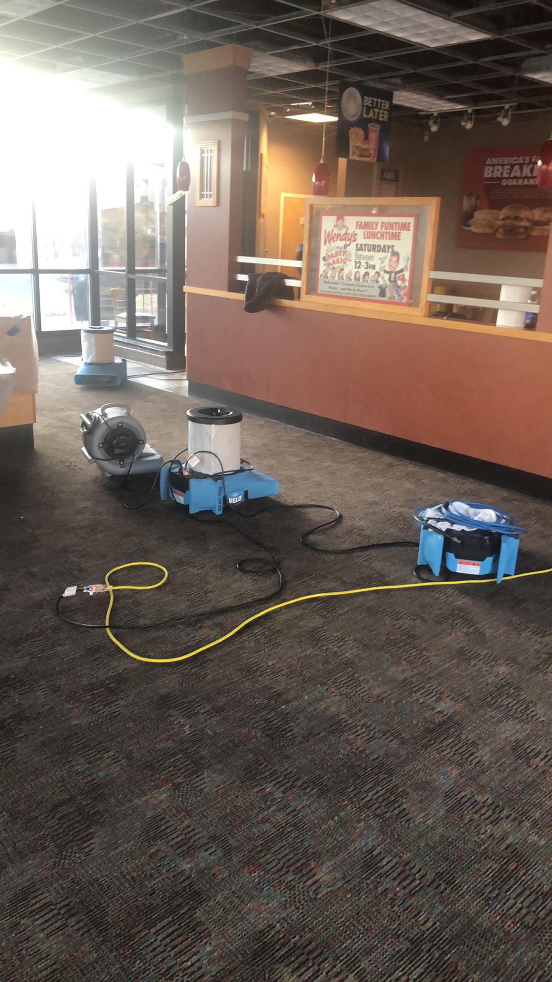 Wet Carpet in Sparta, NJ