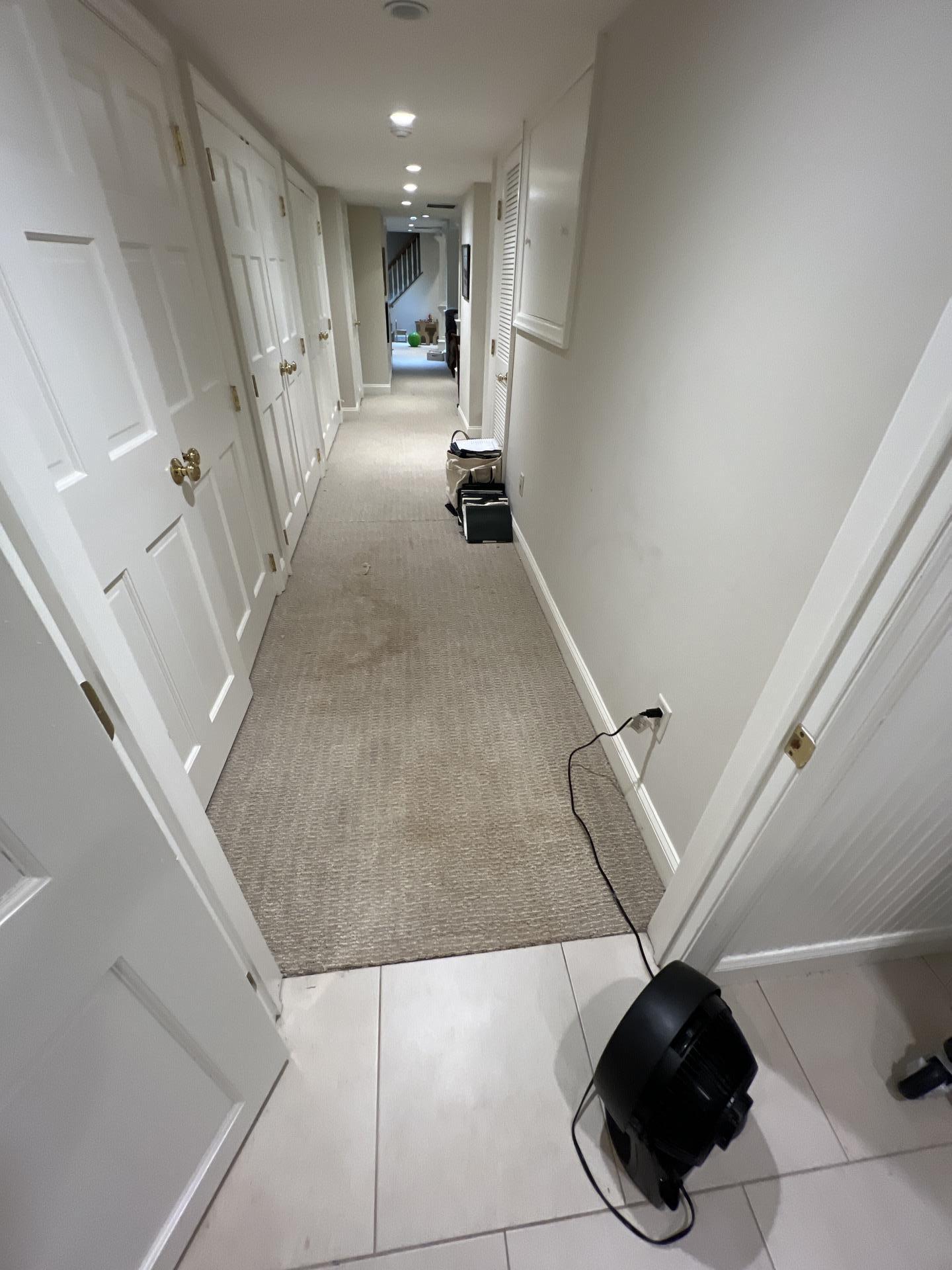 Jason P. - Mount Arlington, NJ - Water Damage