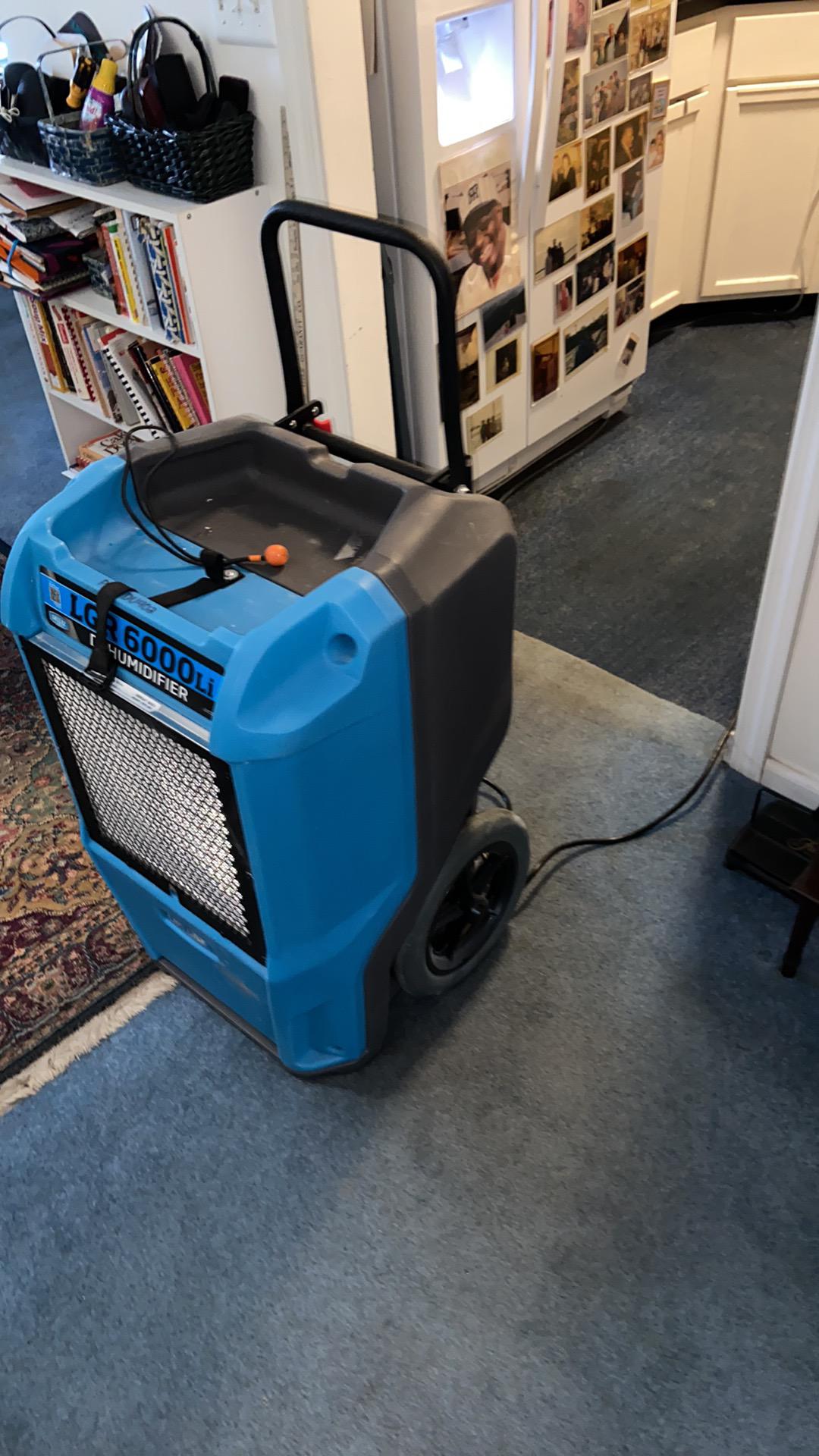 Elaine F. - Mt. Arlington, NJ - Water Damage