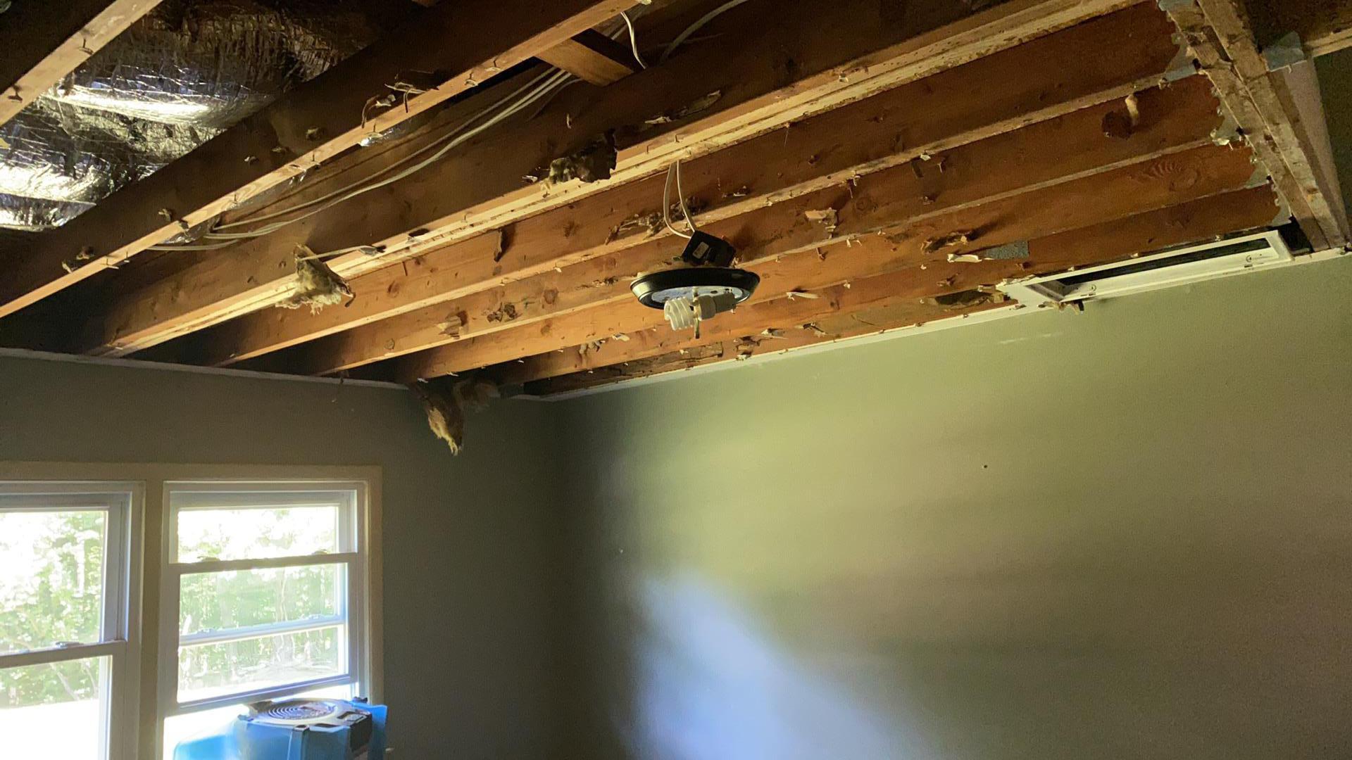 Erin D. - Parsippany, NJ - Water Damage
