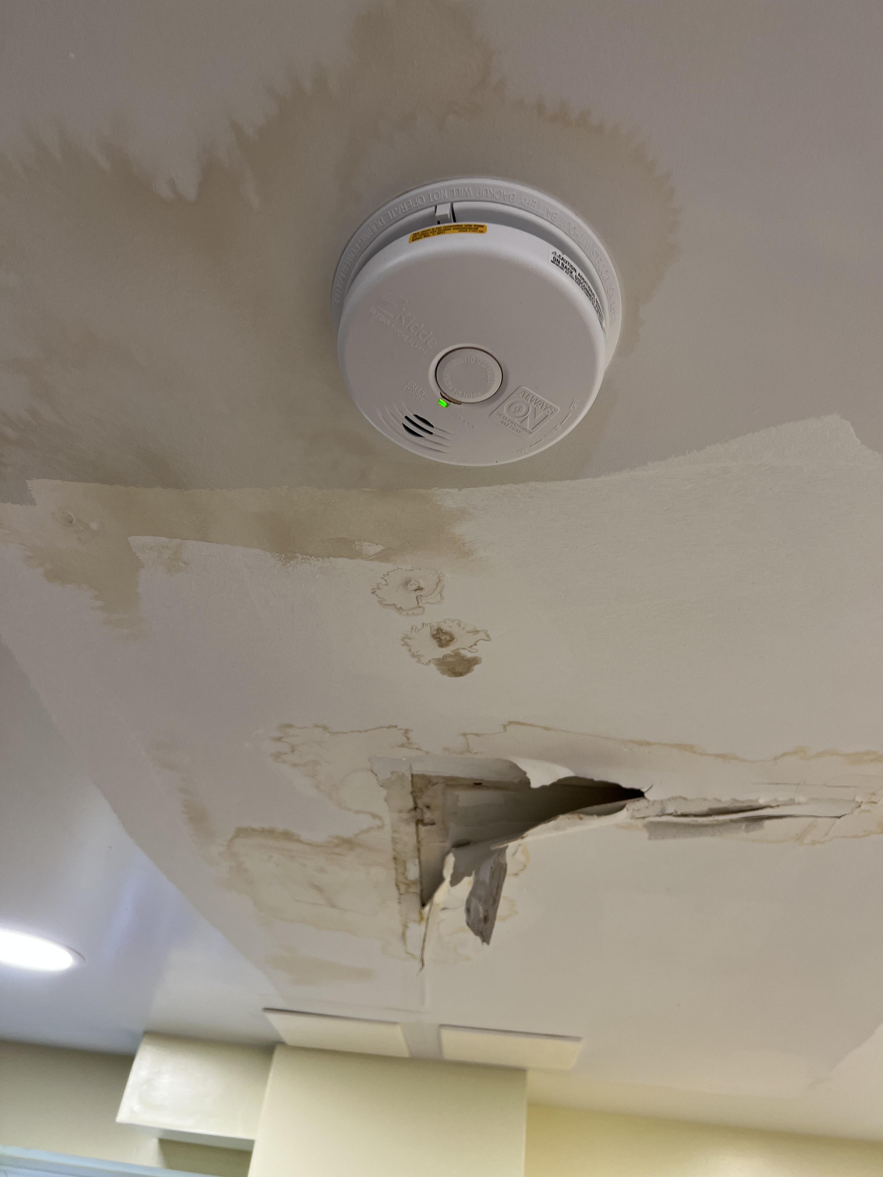 Soaking Wet Ceiling due to burst pipe