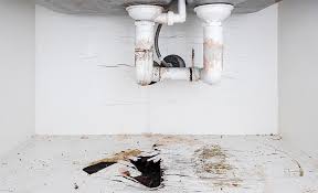 Leaking pipe in breakroom