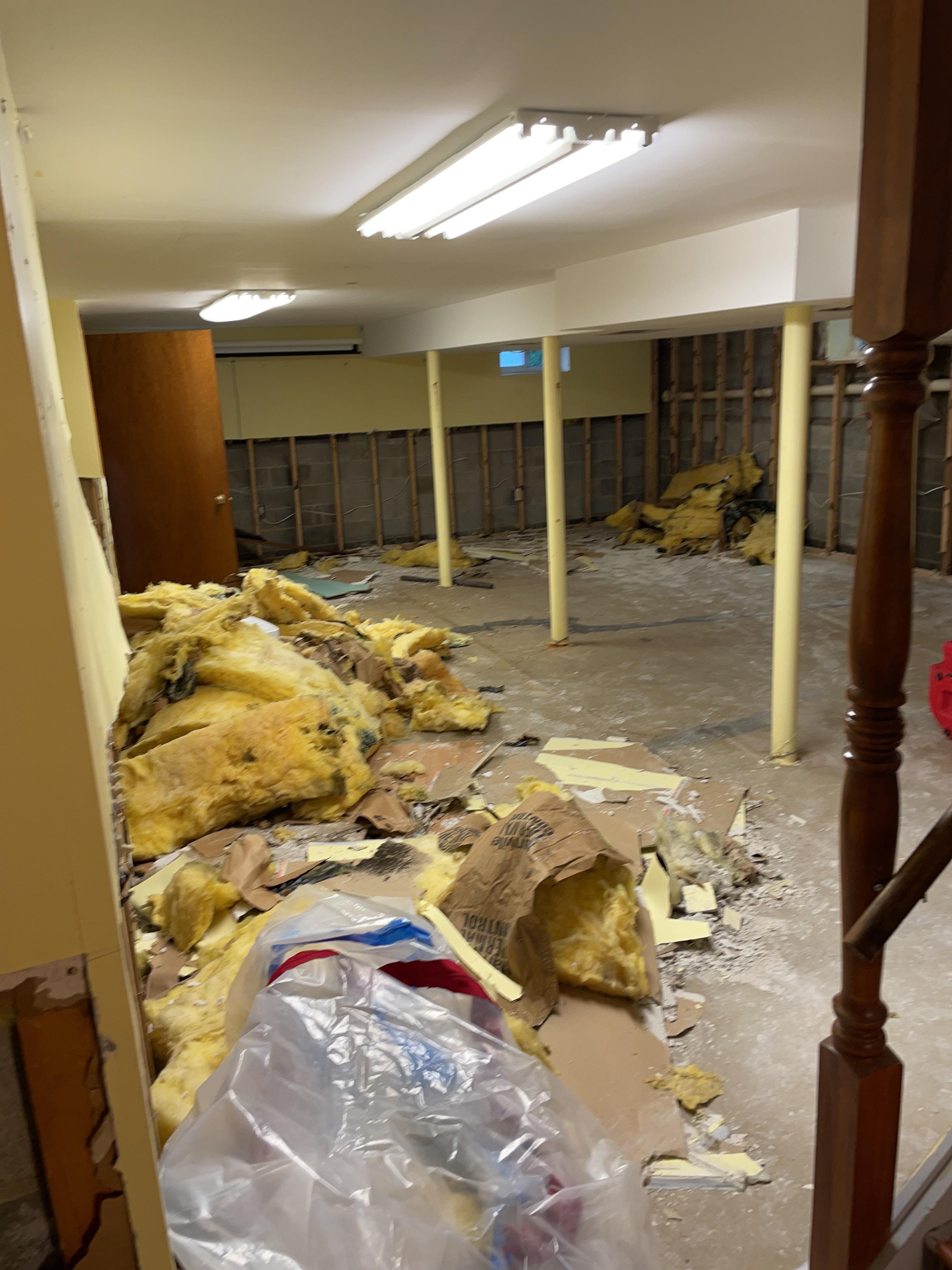 Removal of mold affected area