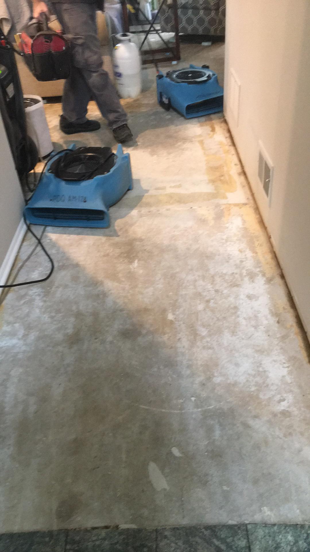 Water damaged flooring removed in hallway