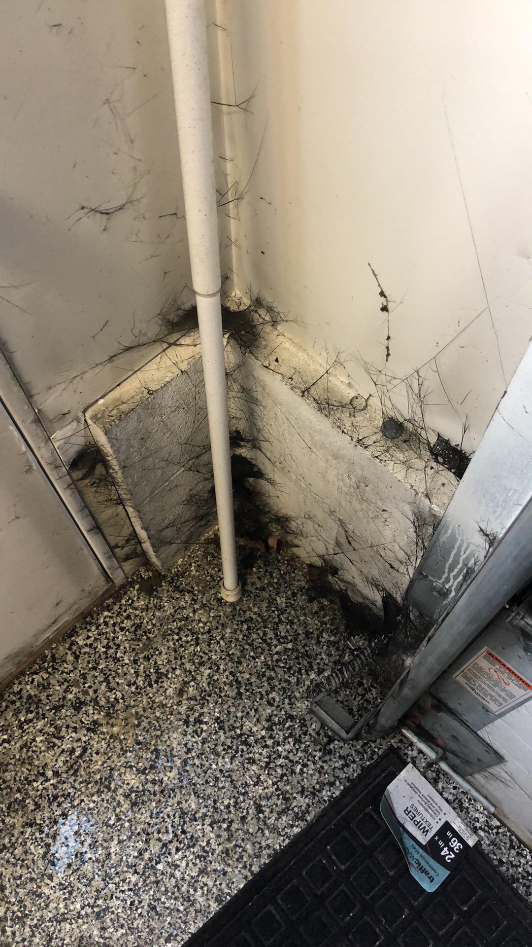 Fire Damage Cleanup in Stanhope, NJ