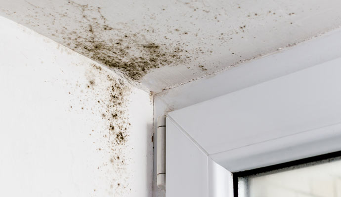 Mold on ceiling in the corner of window