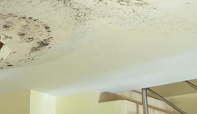 Ceiling showing signs of water damage from a leak.