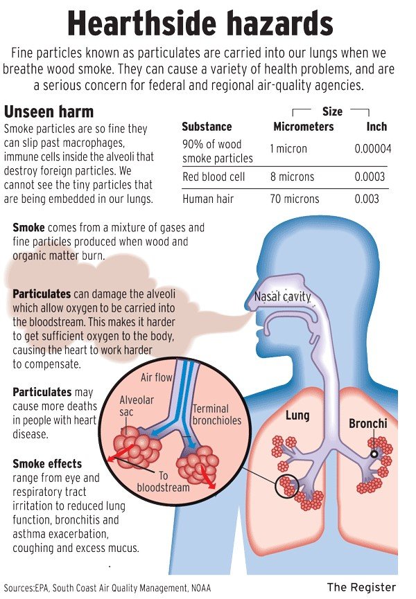 Health & Environment