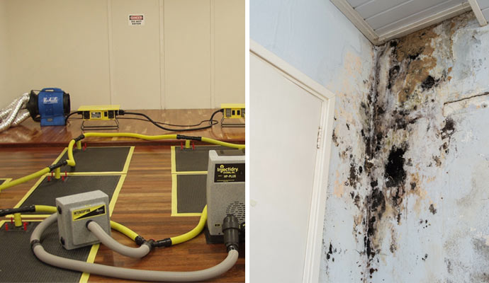 Water Removal And Moldy Wall