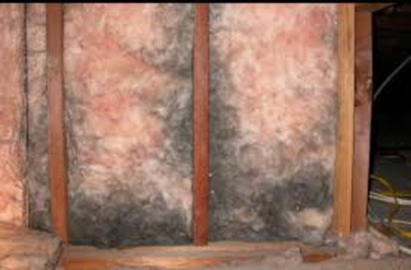 Wet Insulation Affected by Water Damage
